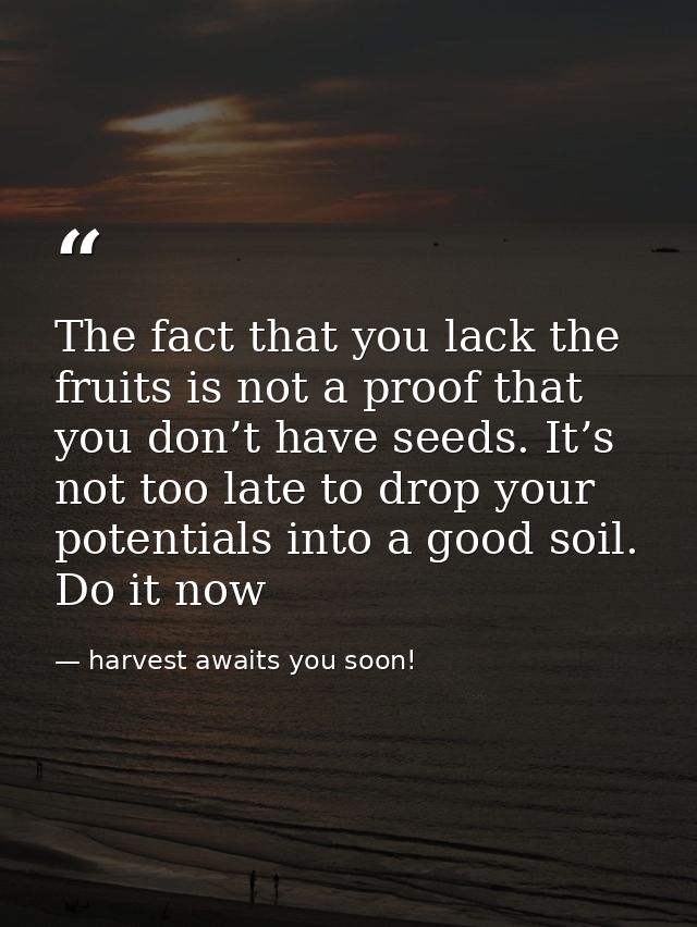 The fact that you lack the fruits is not a proof that you don’t have seeds. It’s not too late to drop your potentials in — harvest awaits you soon!