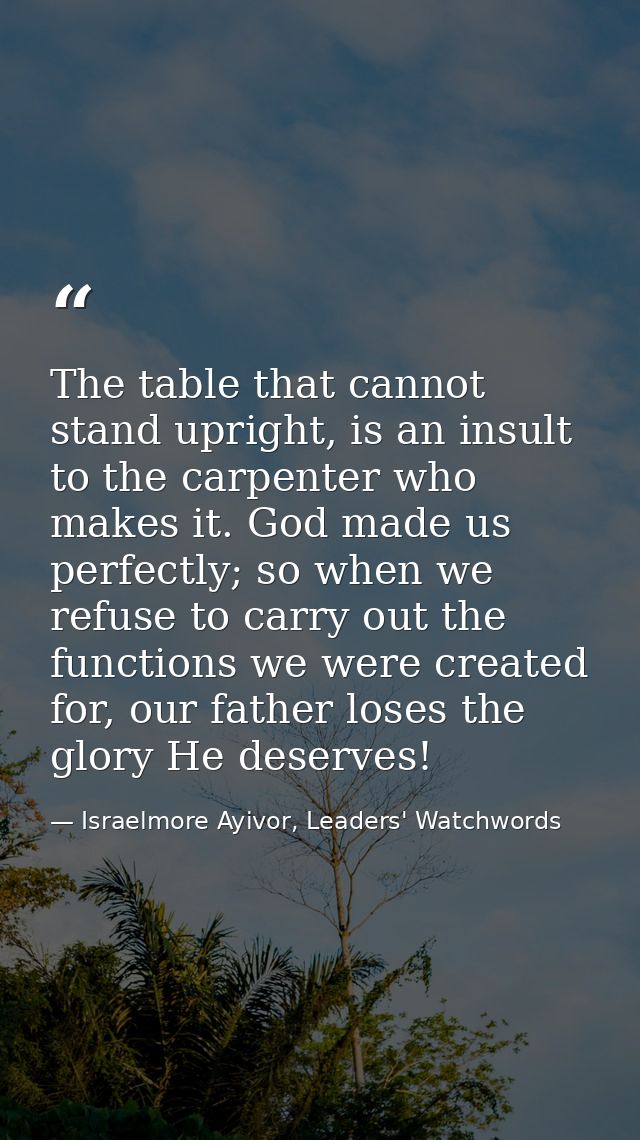 The table that cannot stand upright, is an insult to the carpenter who makes it. God made us perfectly; so when we refus — Israelmore Ayivor, Leaders' Watchwords