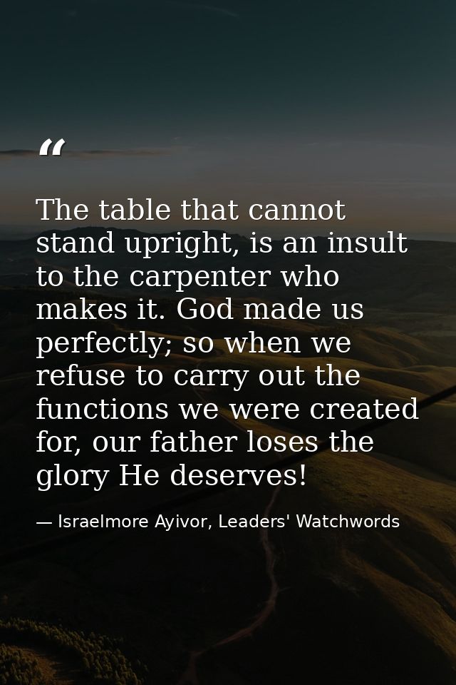 The table that cannot stand upright, is an insult to the carpenter who makes it. God made us perfectly; so when we refus — Israelmore Ayivor, Leaders' Watchwords
