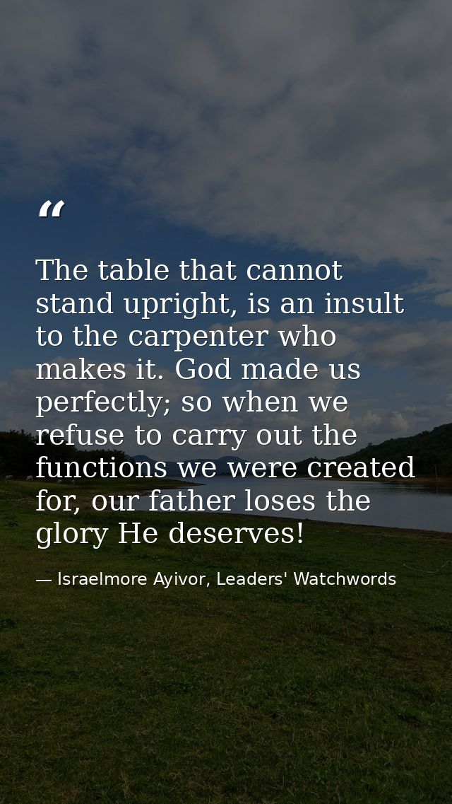 The table that cannot stand upright, is an insult to the carpenter who makes it. God made us perfectly; so when we refus — Israelmore Ayivor, Leaders' Watchwords