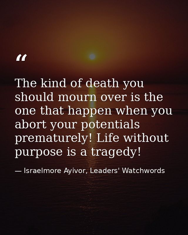 The kind of death you should mourn over is the one that happen when you abort your potentials prematurely! Life without  — Israelmore Ayivor, Leaders' Watchwords