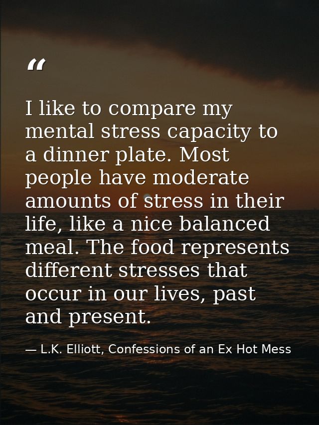 I like to compare my mental stress capacity to a dinner plate. Most people have moderate amounts of stress in their life — L.K. Elliott, Confessions of an Ex Hot Mess