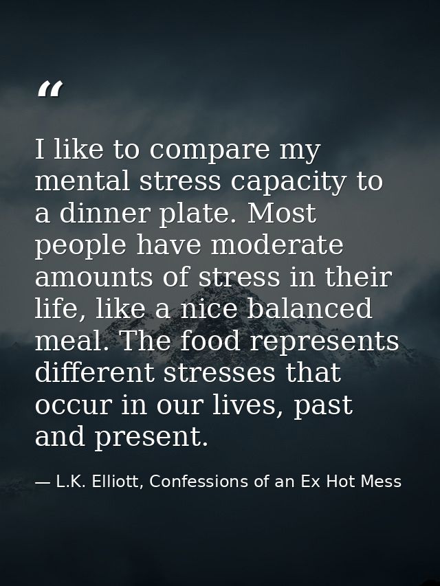I like to compare my mental stress capacity to a dinner plate. Most people have moderate amounts of stress in their life — L.K. Elliott, Confessions of an Ex Hot Mess
