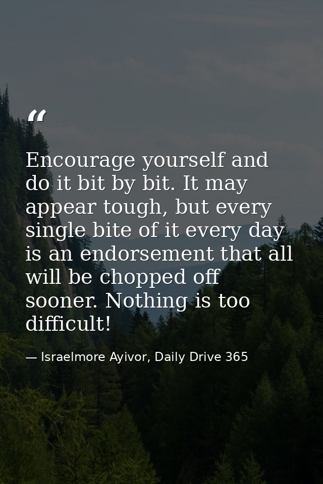 Encourage yourself and do it bit by bit. It may appear tough, but every single bite of it every day is an endorsement th — Israelmore Ayivor, Daily Drive 365