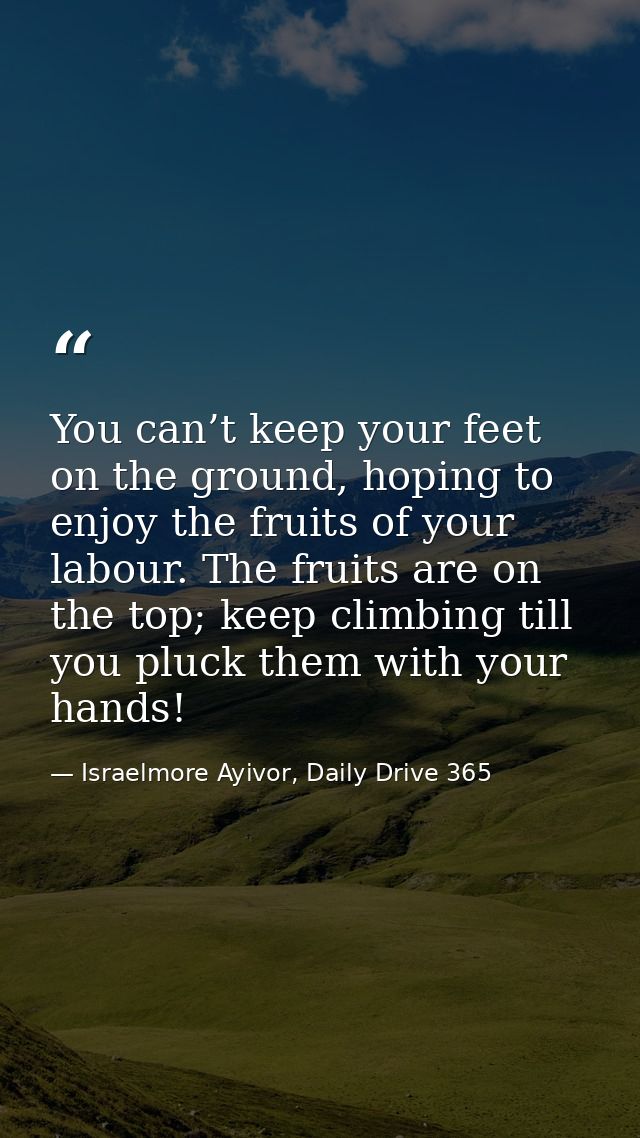 You can’t keep your feet on the ground, hoping to enjoy the fruits of your labour. The fruits are on the top; keep climb — Israelmore Ayivor, Daily Drive 365