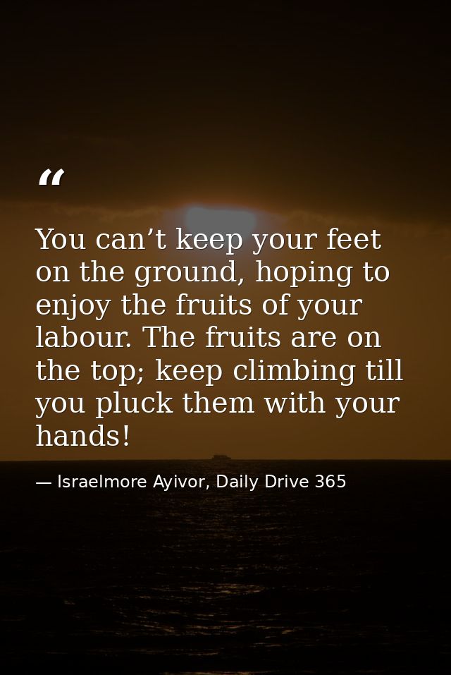 You can’t keep your feet on the ground, hoping to enjoy the fruits of your labour. The fruits are on the top; keep climb — Israelmore Ayivor, Daily Drive 365