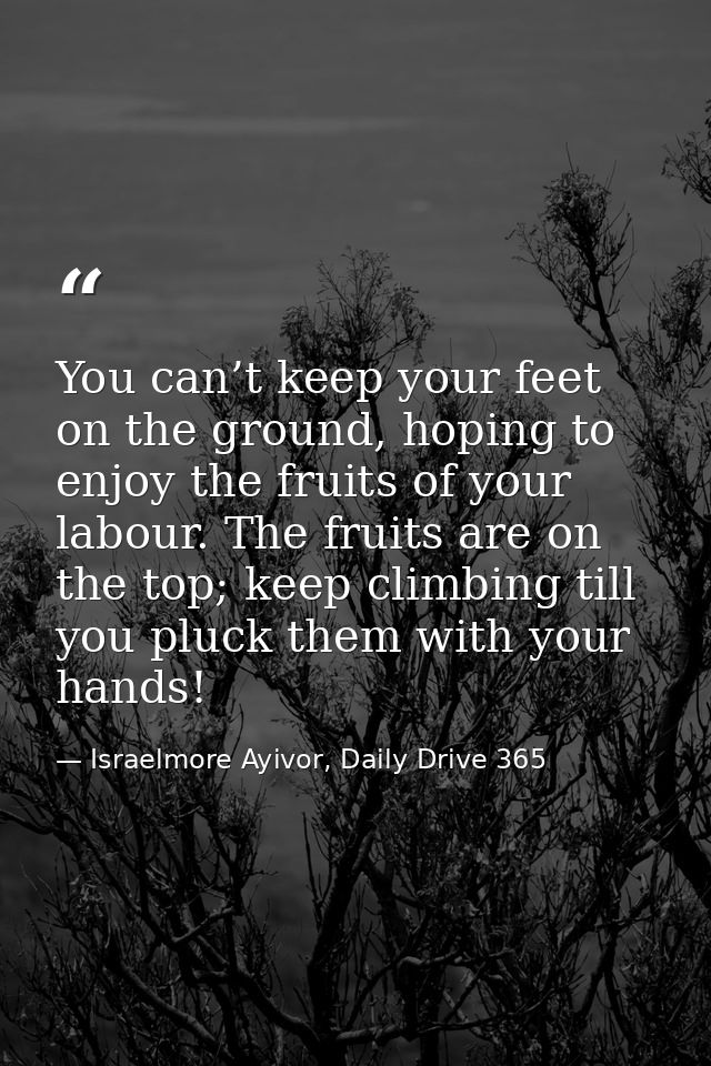 You can’t keep your feet on the ground, hoping to enjoy the fruits of your labour. The fruits are on the top; keep climb — Israelmore Ayivor, Daily Drive 365