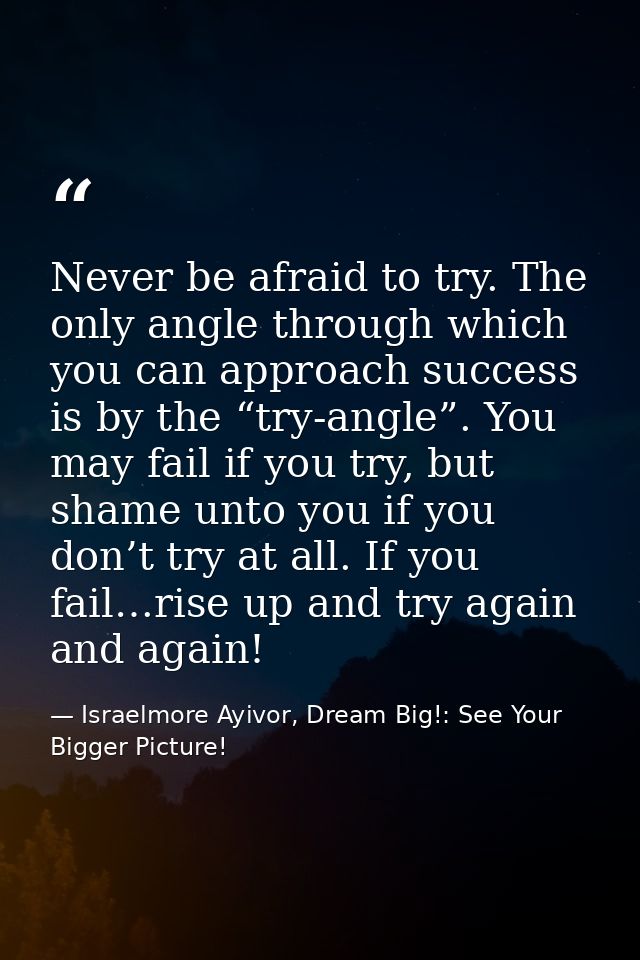 Never be afraid to try. The only angle through which you can approach success is by the “try-angle”. You may fail if you — Israelmore Ayivor, Dream Big!: See Your Bigger Picture!