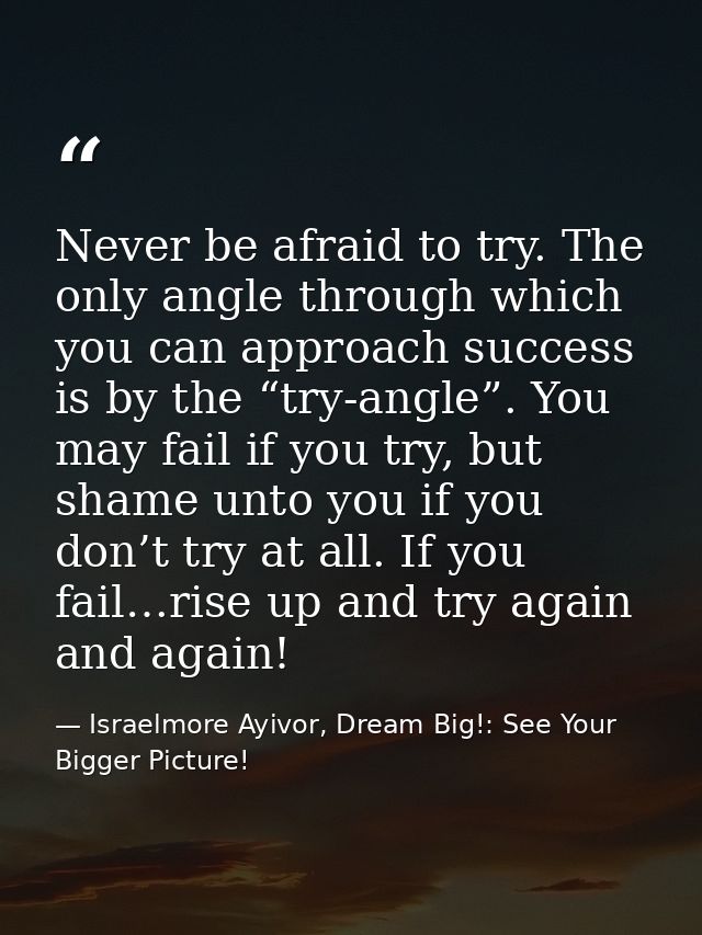 Never be afraid to try. The only angle through which you can approach success is by the “try-angle”. You may fail if you — Israelmore Ayivor, Dream Big!: See Your Bigger Picture!