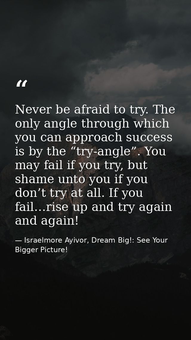 Never be afraid to try. The only angle through which you can approach success is by the “try-angle”. You may fail if you — Israelmore Ayivor, Dream Big!: See Your Bigger Picture!
