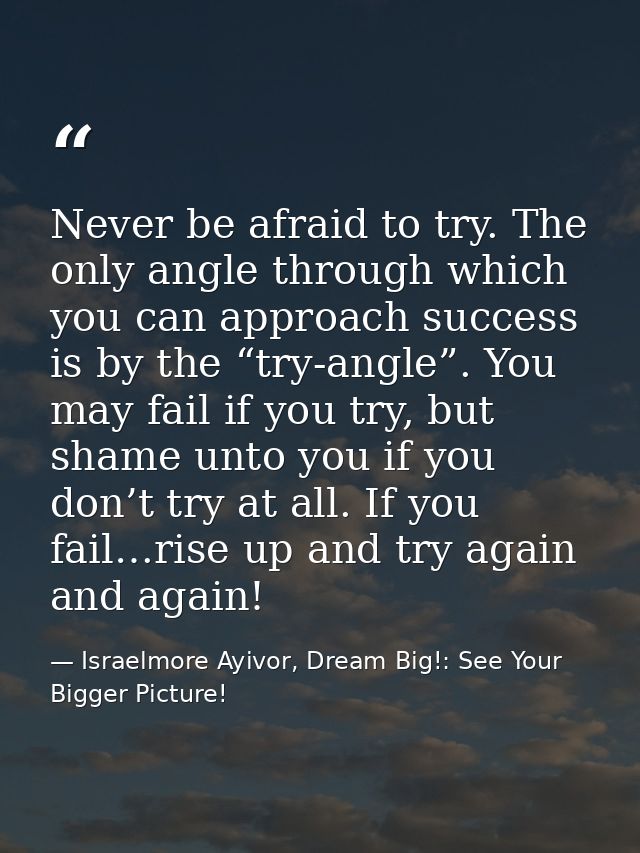 Never be afraid to try. The only angle through which you can approach success is by the “try-angle”. You may fail if you — Israelmore Ayivor, Dream Big!: See Your Bigger Picture!