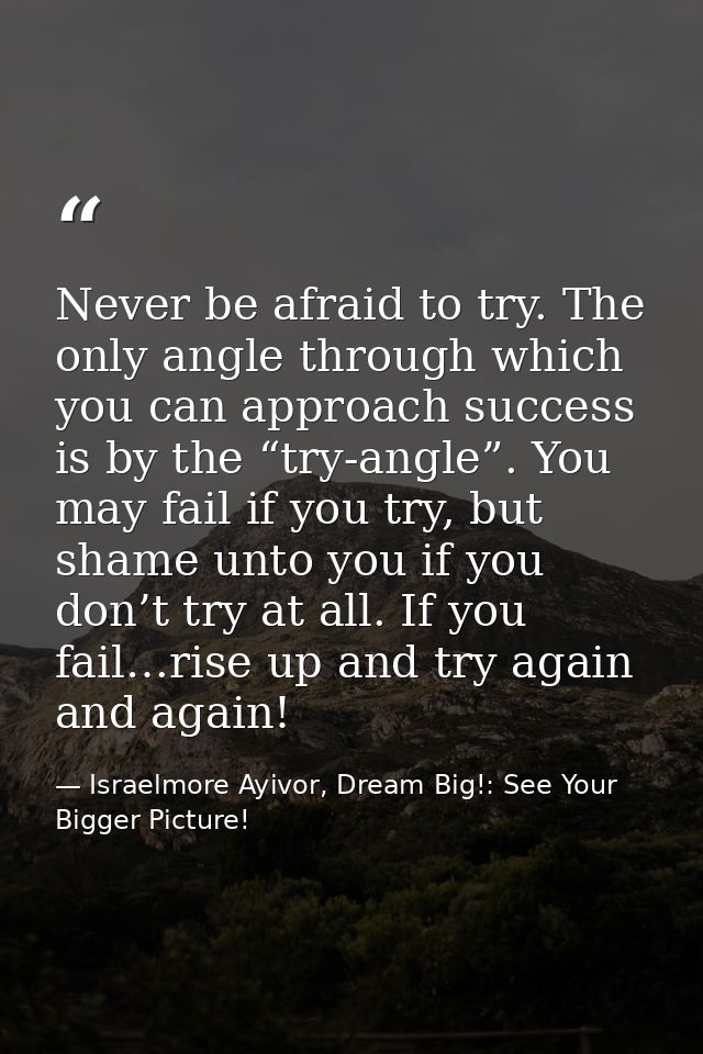 Never be afraid to try. The only angle through which you can approach success is by the “try-angle”. You may fail if you — Israelmore Ayivor, Dream Big!: See Your Bigger Picture!