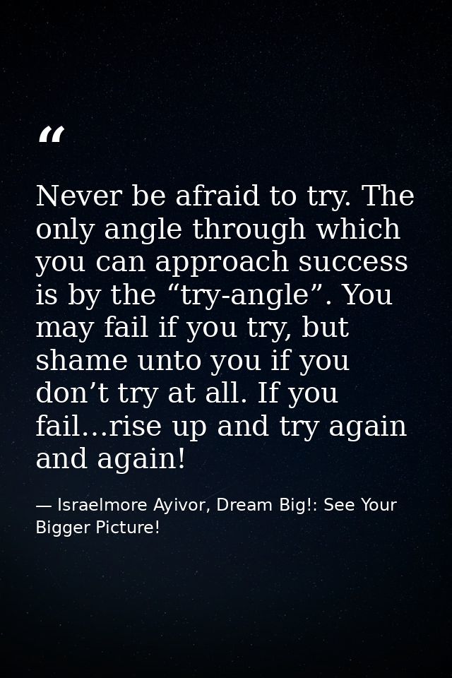 Never be afraid to try. The only angle through which you can approach success is by the “try-angle”. You may fail if you — Israelmore Ayivor, Dream Big!: See Your Bigger Picture!