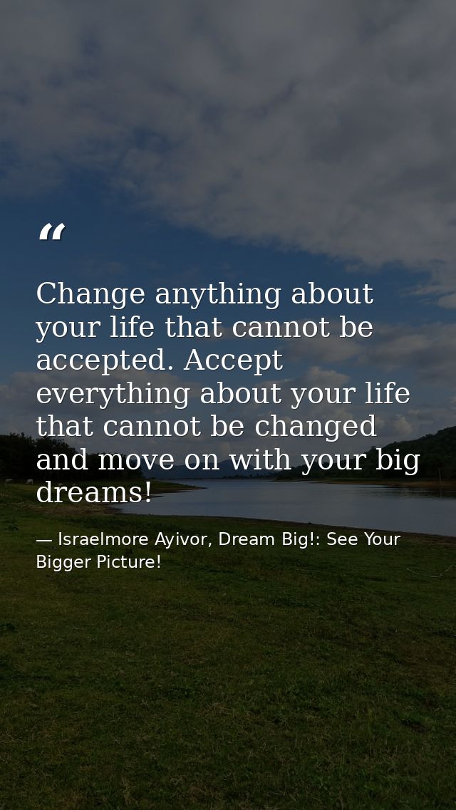 Change anything about your life that cannot be accepted. Accept everything about your life that cannot be changed and mo — Israelmore Ayivor, Dream Big!: See Your Bigger Picture!