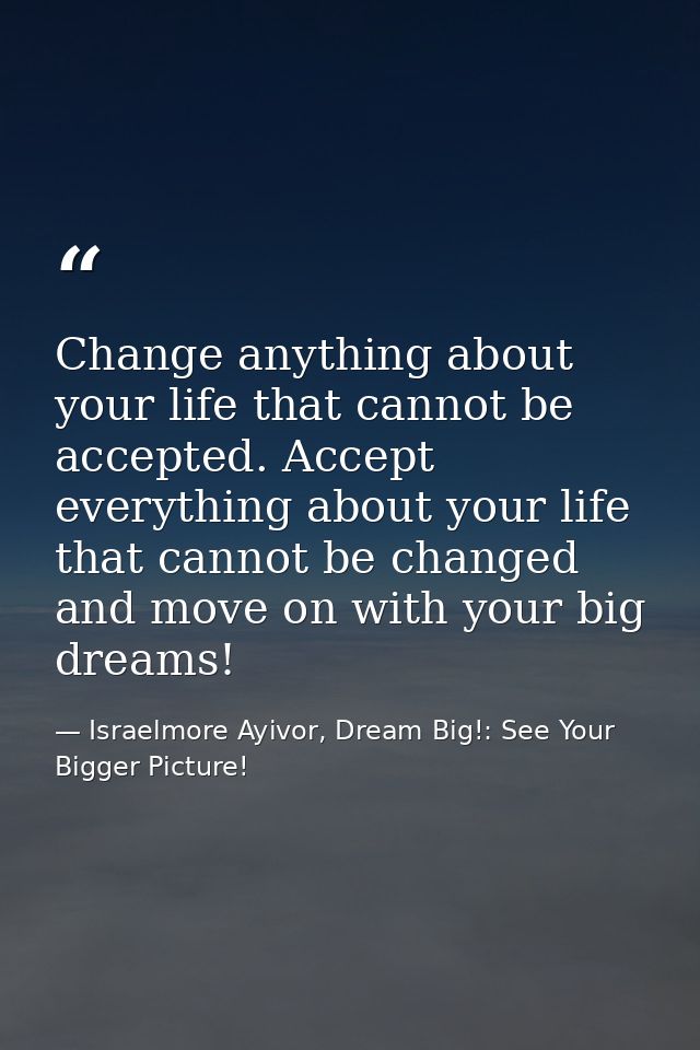 Change anything about your life that cannot be accepted. Accept everything about your life that cannot be changed and mo — Israelmore Ayivor, Dream Big!: See Your Bigger Picture!