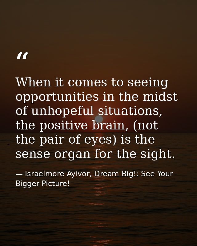 When it comes to seeing opportunities in the midst of unhopeful situations, the positive brain, (not the pair of eyes) i — Israelmore Ayivor, Dream Big!: See Your Bigger Picture!