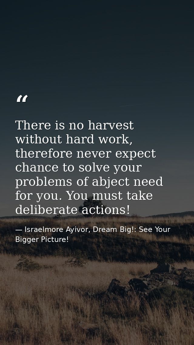There is no harvest without hard work, therefore never expect chance to solve your problems of abject need for you. You  — Israelmore Ayivor, Dream Big!: See Your Bigger Picture!