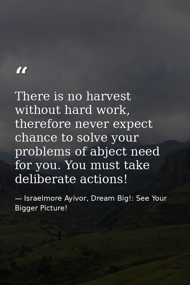 There is no harvest without hard work, therefore never expect chance to solve your problems of abject need for you. You  — Israelmore Ayivor, Dream Big!: See Your Bigger Picture!