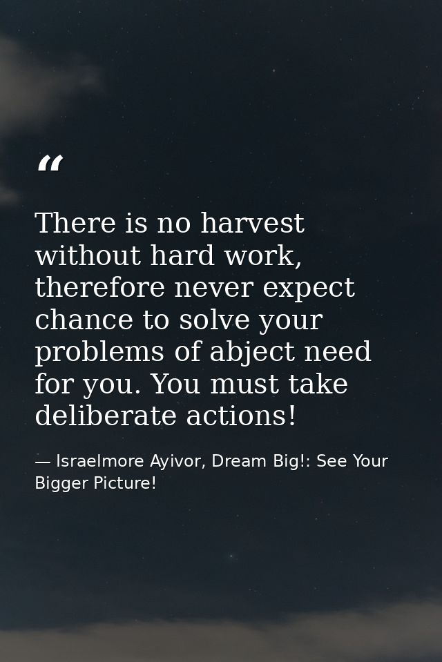 There is no harvest without hard work, therefore never expect chance to solve your problems of abject need for you. You  — Israelmore Ayivor, Dream Big!: See Your Bigger Picture!