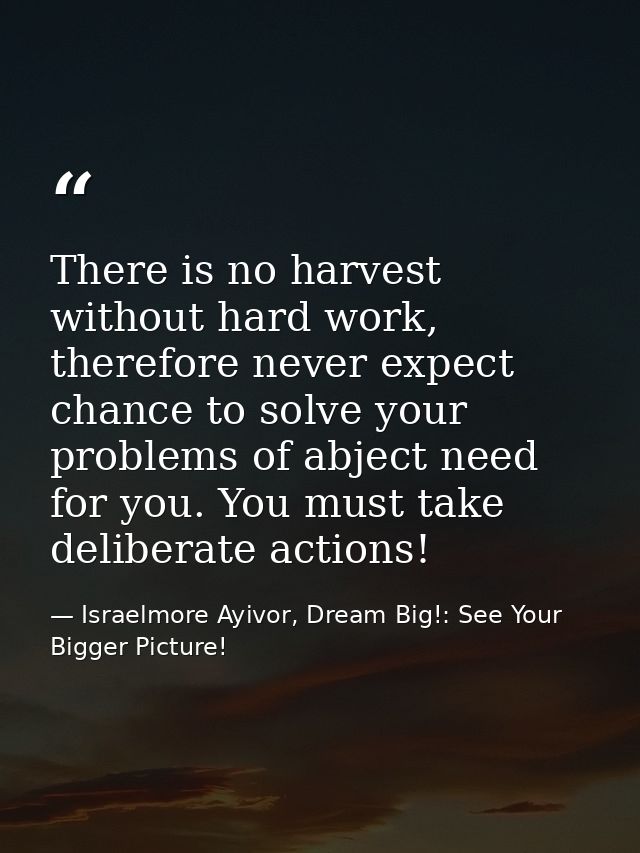 There is no harvest without hard work, therefore never expect chance to solve your problems of abject need for you. You  — Israelmore Ayivor, Dream Big!: See Your Bigger Picture!