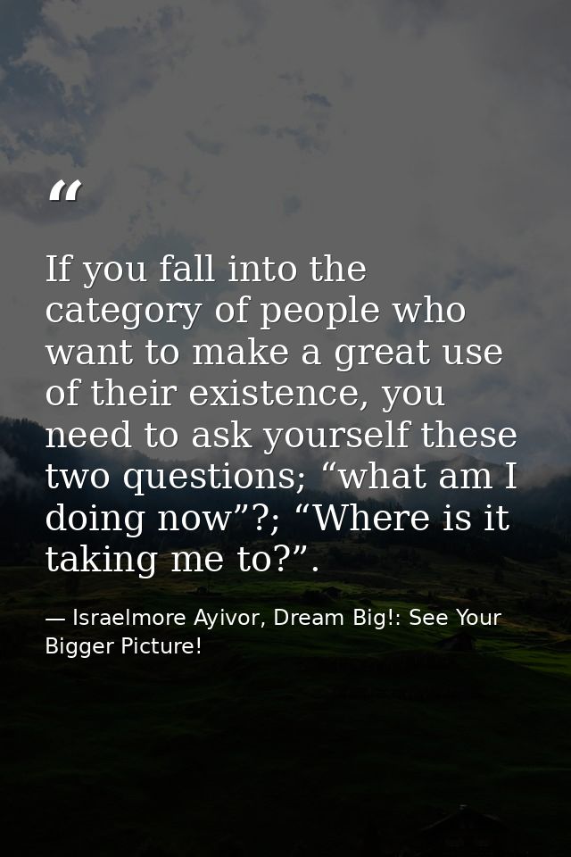 If you fall into the category of people who want to make a great use of their existence, you need to ask yourself these  — Israelmore Ayivor, Dream Big!: See Your Bigger Picture!