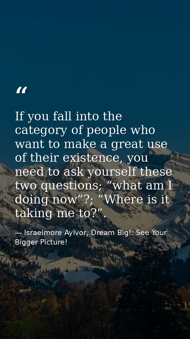 If you fall into the category of people who want to make a great use of their existence, you need to ask yourself these  — Israelmore Ayivor, Dream Big!: See Your Bigger Picture!