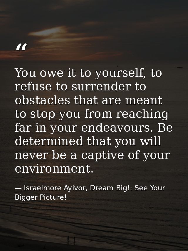 You owe it to yourself, to refuse to surrender to obstacles that are meant to stop you from reaching far in your endeavo — Israelmore Ayivor, Dream Big!: See Your Bigger Picture!