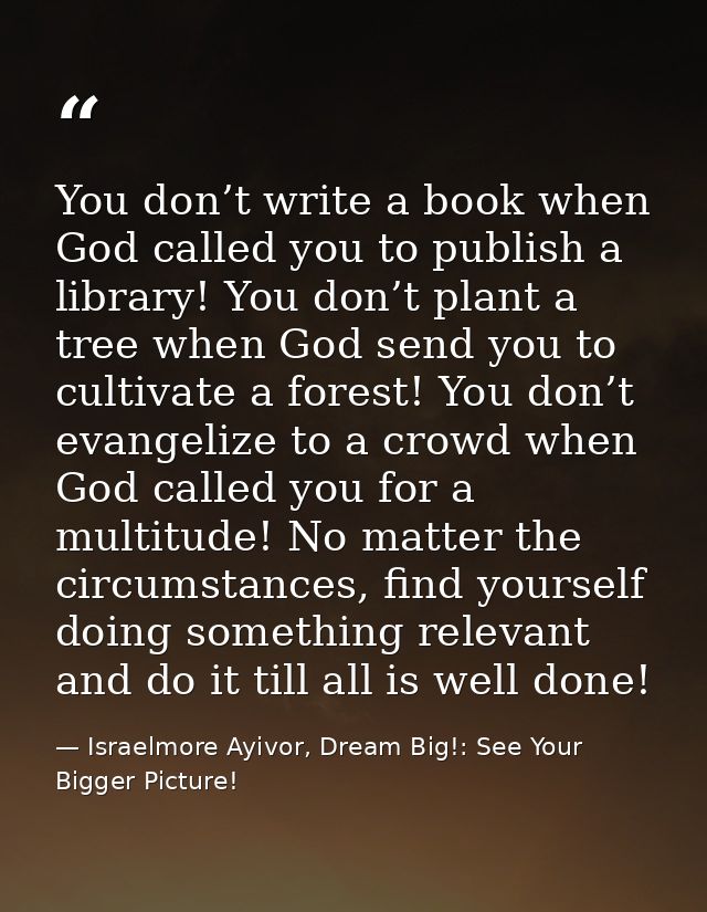 You don’t write a book when God called you to publish a library! You don’t plant a tree when God send you to cultivate a — Israelmore Ayivor, Dream Big!: See Your Bigger Picture!