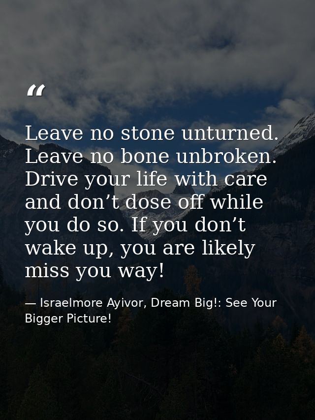 Leave no stone unturned. Leave no bone unbroken. Drive your life with care and don’t dose off while you do so. If you do — Israelmore Ayivor, Dream Big!: See Your Bigger Picture!
