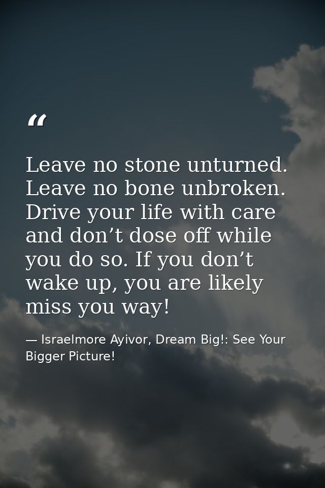 Leave no stone unturned. Leave no bone unbroken. Drive your life with care and don’t dose off while you do so. If you do — Israelmore Ayivor, Dream Big!: See Your Bigger Picture!