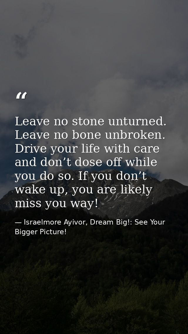 Leave no stone unturned. Leave no bone unbroken. Drive your life with care and don’t dose off while you do so. If you do — Israelmore Ayivor, Dream Big!: See Your Bigger Picture!