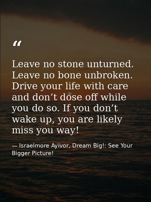 Leave no stone unturned. Leave no bone unbroken. Drive your life with care and don’t dose off while you do so. If you do — Israelmore Ayivor, Dream Big!: See Your Bigger Picture!