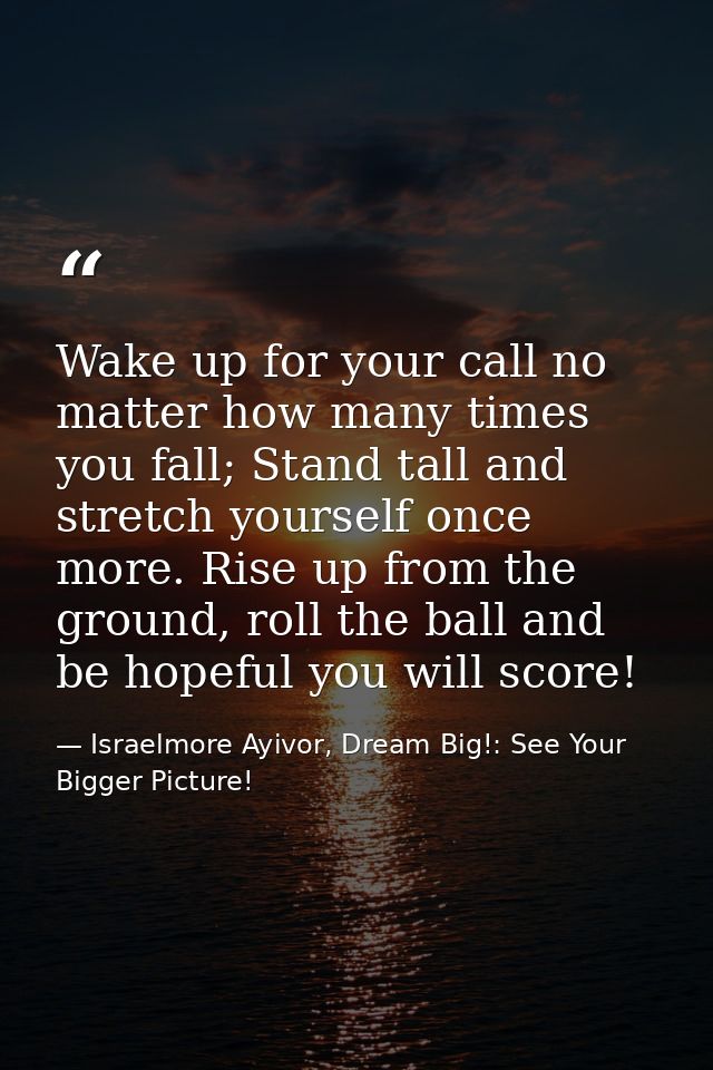 Wake up for your call no matter how many times you fall; Stand tall and stretch yourself once more. Rise up from the gro — Israelmore Ayivor, Dream Big!: See Your Bigger Picture!