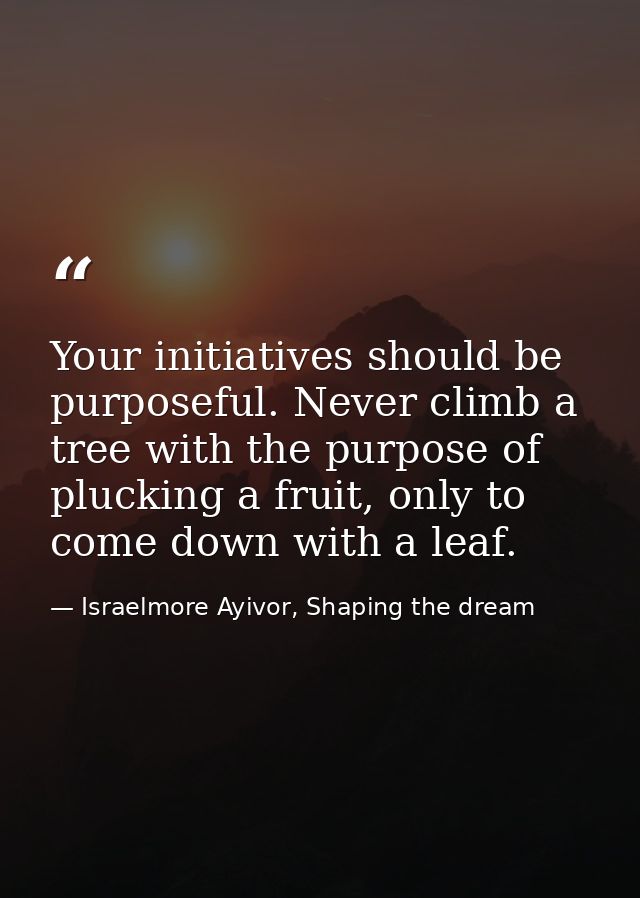 Your initiatives should be purposeful. Never climb a tree with the purpose of plucking a fruit, only to come down with a — Israelmore Ayivor, Shaping the dream