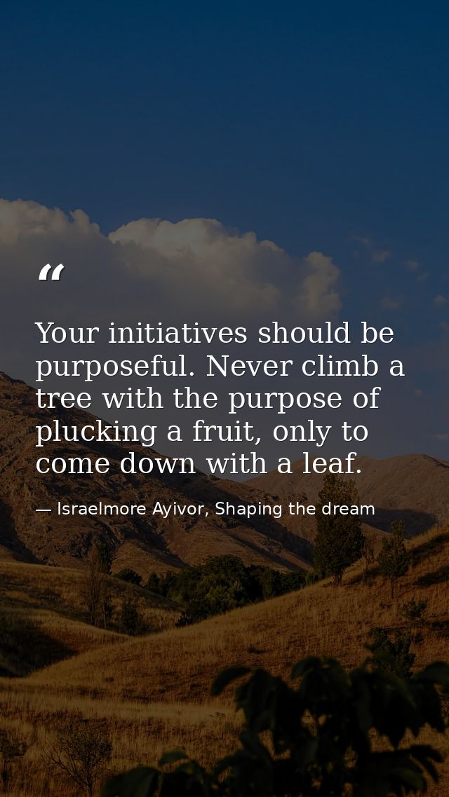 Your initiatives should be purposeful. Never climb a tree with the purpose of plucking a fruit, only to come down with a — Israelmore Ayivor, Shaping the dream