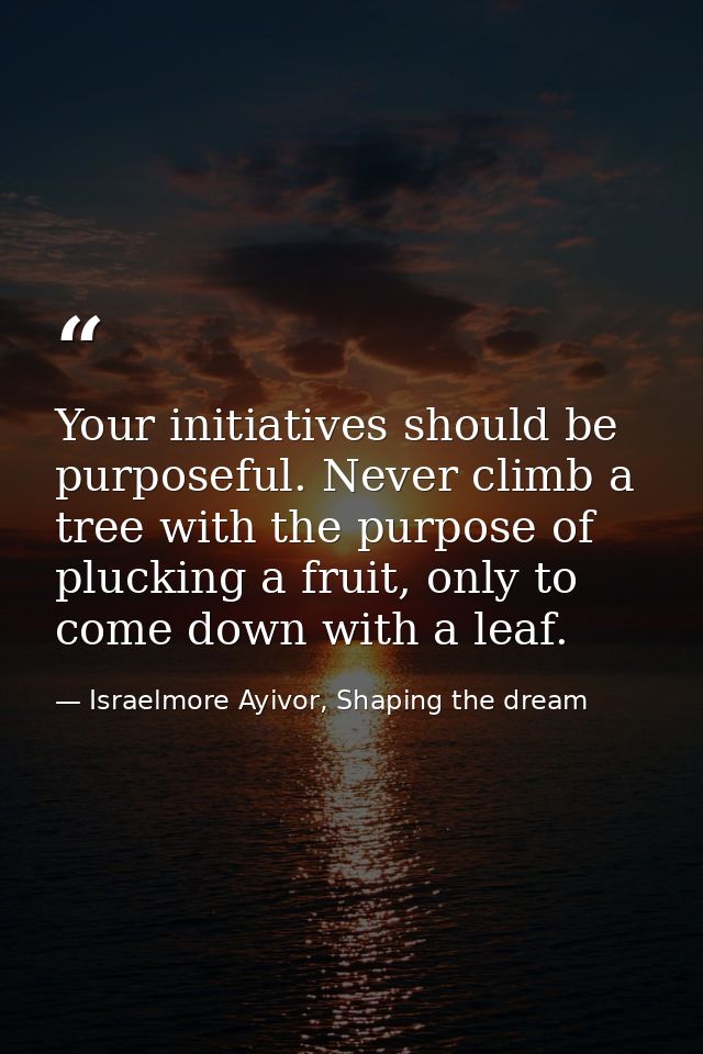 Your initiatives should be purposeful. Never climb a tree with the purpose of plucking a fruit, only to come down with a — Israelmore Ayivor, Shaping the dream