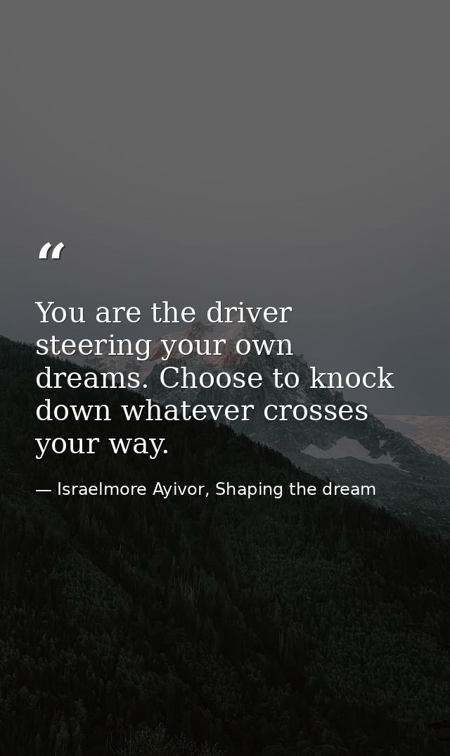 You are the driver steering your own dreams. Choose to knock down whatever crosses your way. — Israelmore Ayivor, Shaping the dream