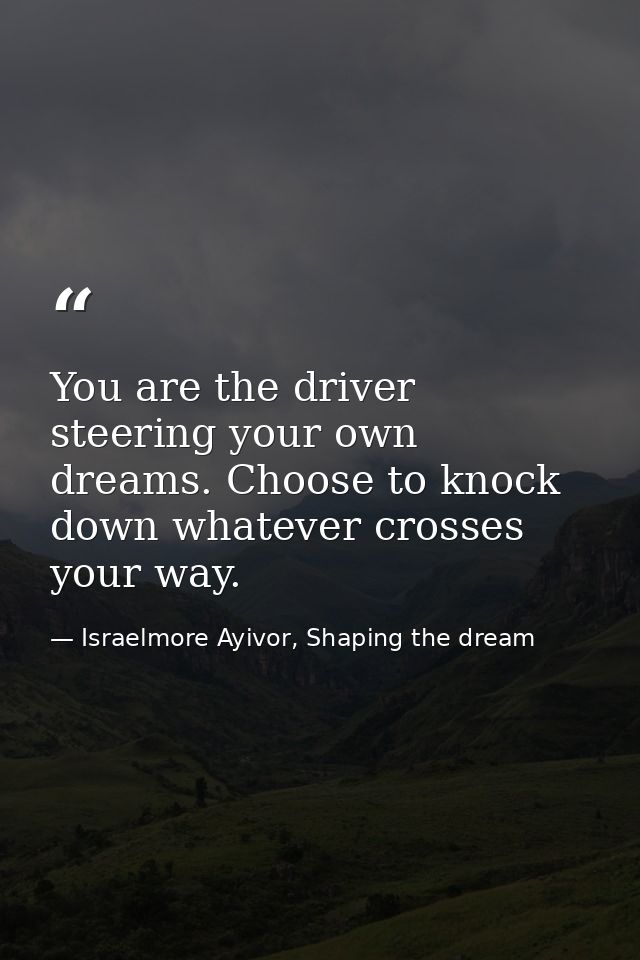 You are the driver steering your own dreams. Choose to knock down whatever crosses your way. — Israelmore Ayivor, Shaping the dream