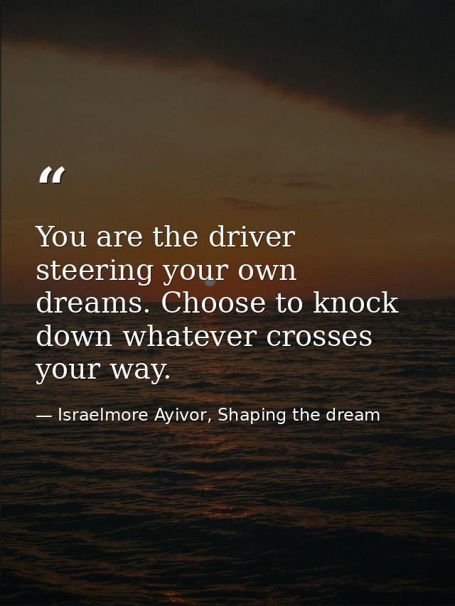 You are the driver steering your own dreams. Choose to knock down whatever crosses your way. — Israelmore Ayivor, Shaping the dream