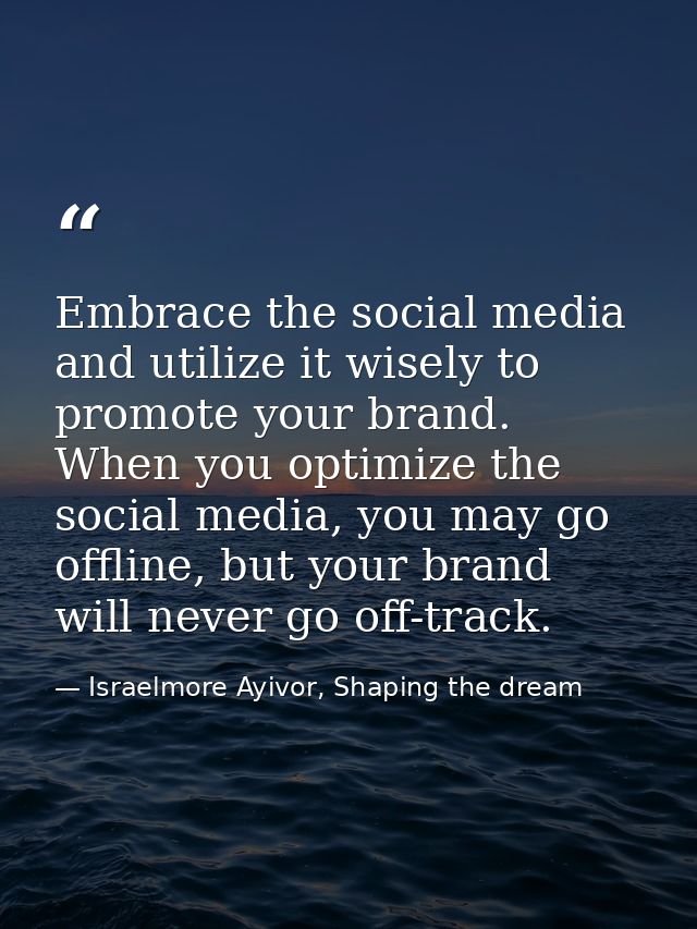 Embrace the social media and utilize it wisely to promote your brand. When you optimize the social media, you may go off — Israelmore Ayivor, Shaping the dream