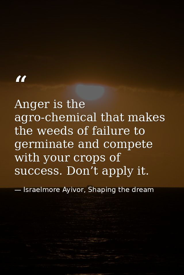 Anger is the agro-chemical that makes the weeds of failure to germinate and compete with your crops of success. Don’t ap — Israelmore Ayivor, Shaping the dream