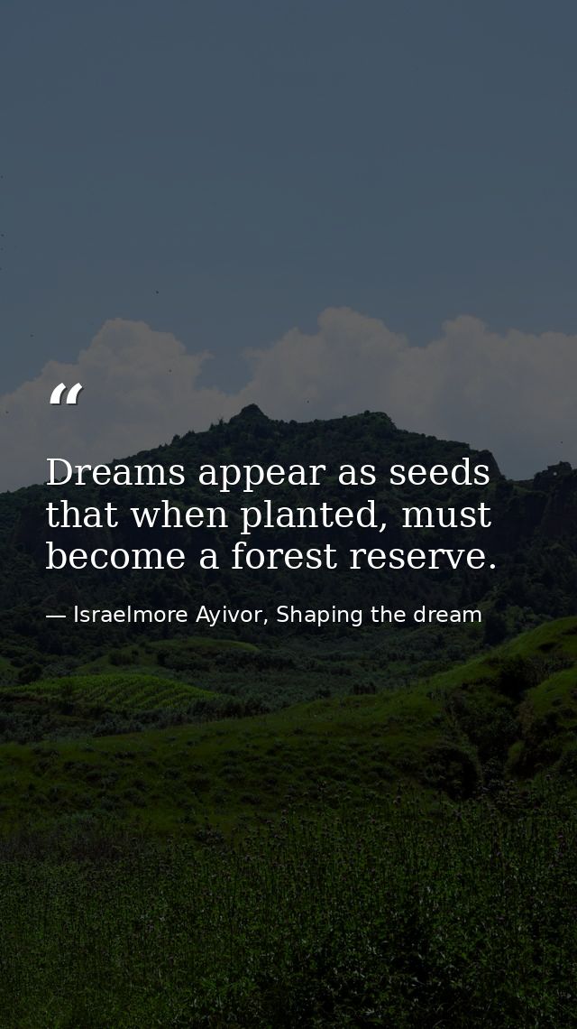 Dreams appear as seeds that when planted, must become a forest reserve. — Israelmore Ayivor, Shaping the dream