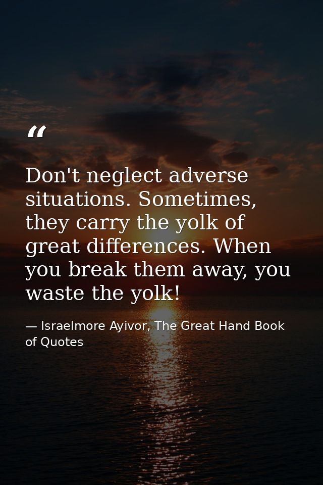 Don't neglect adverse situations. Sometimes, they carry the yolk of great differences. When you break them away, you was — Israelmore Ayivor, The Great Hand Book of Quotes