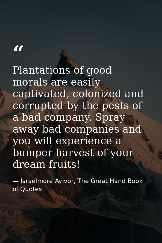 Plantations of good morals are easily captivated, colonized and corrupted by the pests of a bad company. Spray away bad  — Israelmore Ayivor, The Great Hand Book of Quotes