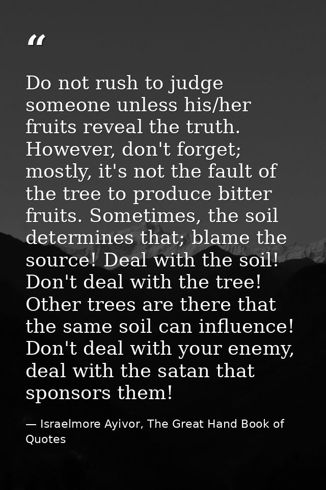 Do not rush to judge someone unless his/her fruits reveal the truth. However, don't forget; mostly, it's not the fault o — Israelmore Ayivor, The Great Hand Book of Quotes