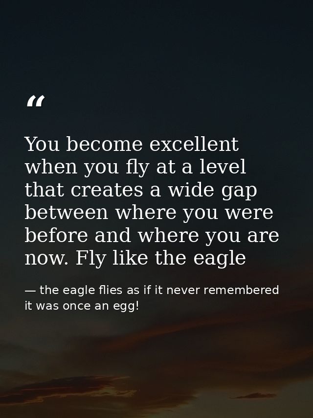 You become excellent when you fly at a level that creates a wide gap between where you were before and where you are now — the eagle flies as if it never remembered it was once an egg!