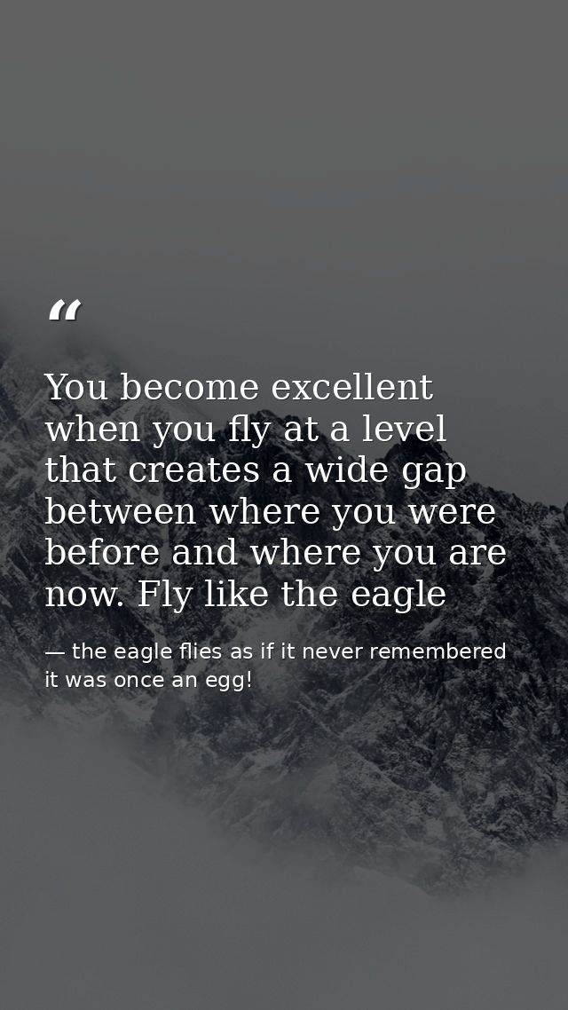 You become excellent when you fly at a level that creates a wide gap between where you were before and where you are now — the eagle flies as if it never remembered it was once an egg!
