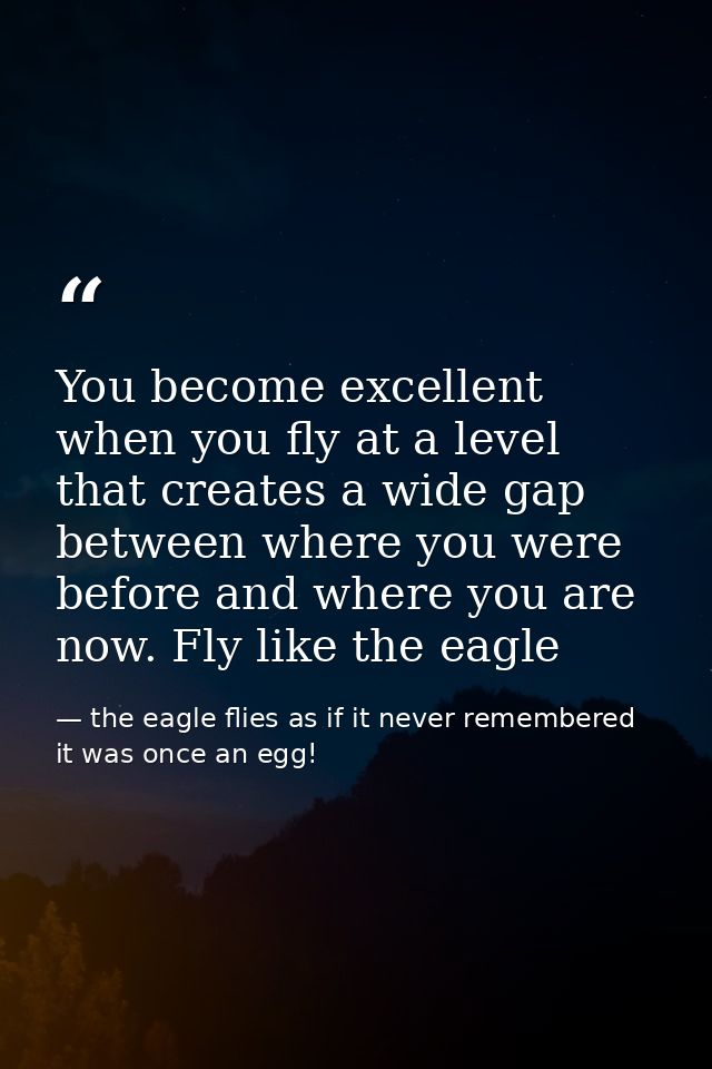 You become excellent when you fly at a level that creates a wide gap between where you were before and where you are now — the eagle flies as if it never remembered it was once an egg!
