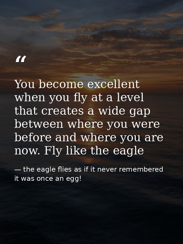 You become excellent when you fly at a level that creates a wide gap between where you were before and where you are now — the eagle flies as if it never remembered it was once an egg!