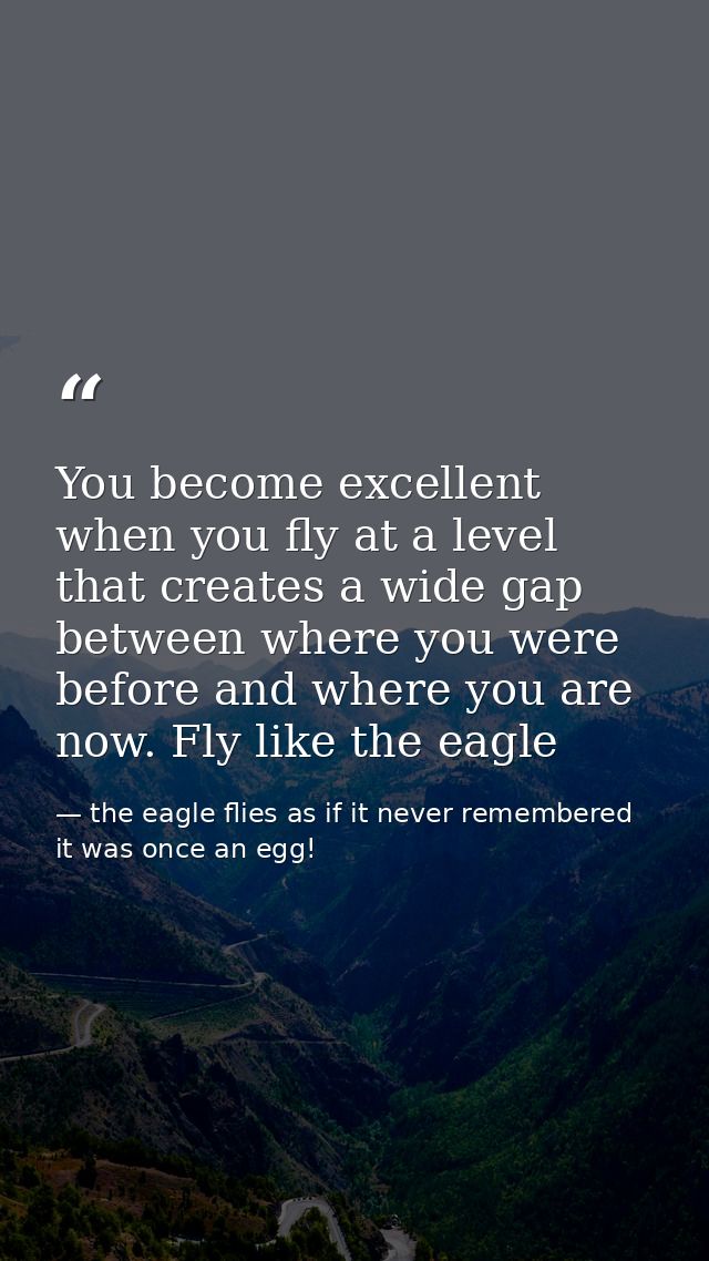 You become excellent when you fly at a level that creates a wide gap between where you were before and where you are now — the eagle flies as if it never remembered it was once an egg!